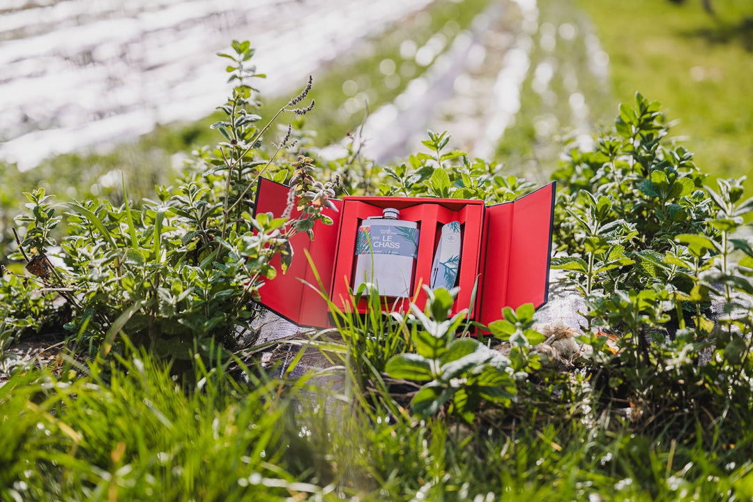 Souboz Drinks x SWIZA® : un coffret qui célèbre l’artisanat de notre région